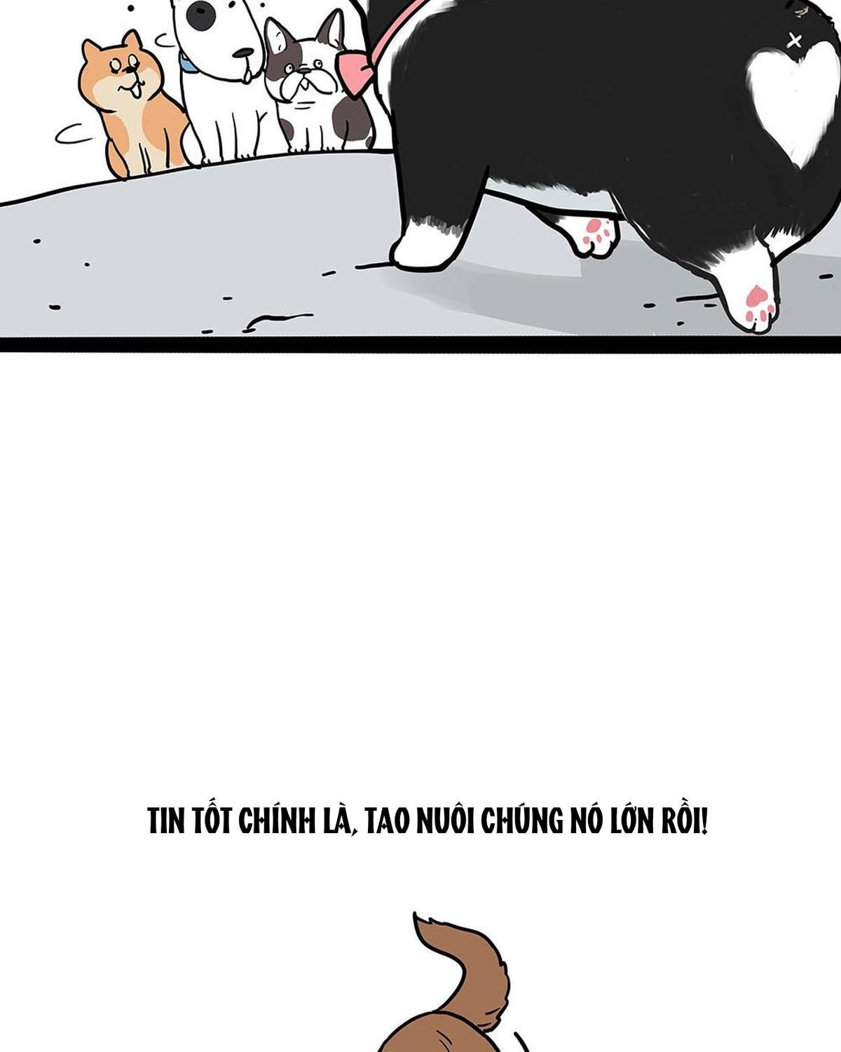 Hoàng Thượng và Ba Trát Hắc Chap 438 - Next Chap 439