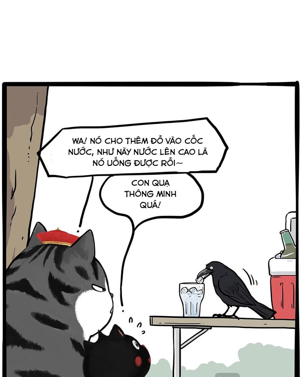 Hoàng Thượng và Ba Trát Hắc Chap 438 - Next Chap 439