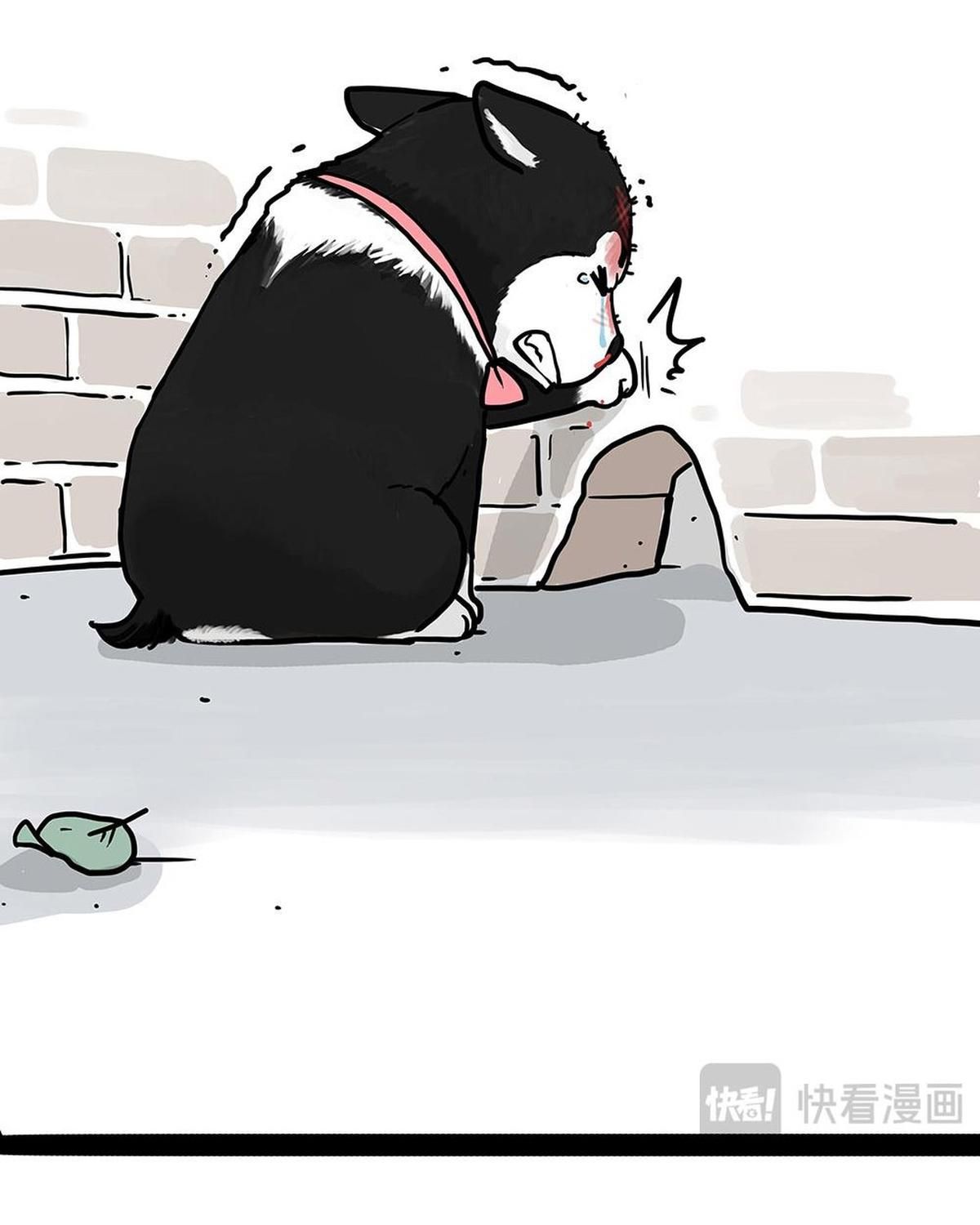 Hoàng Thượng và Ba Trát Hắc Chap 438 - Next Chap 439