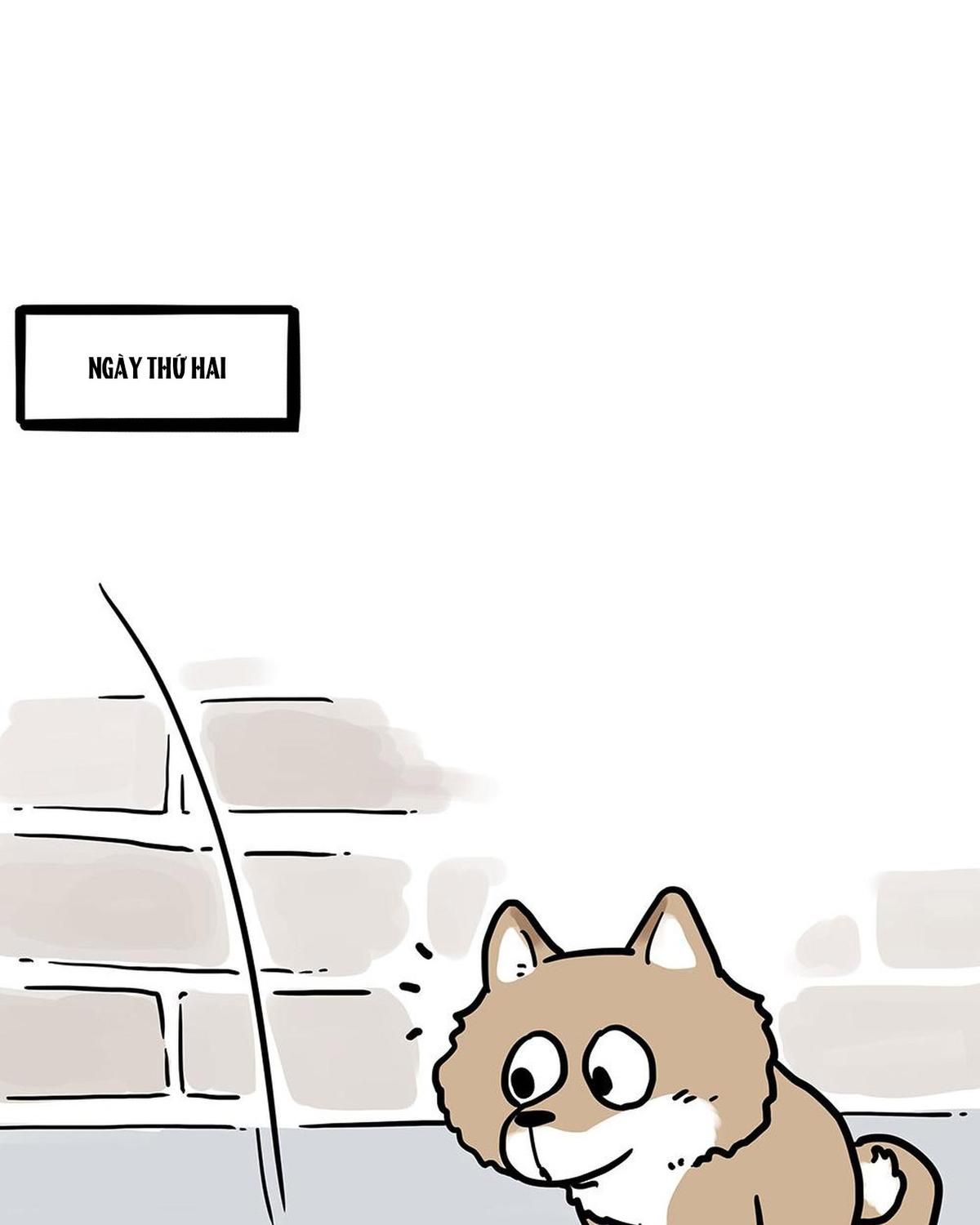 Hoàng Thượng và Ba Trát Hắc Chap 438 - Next Chap 439