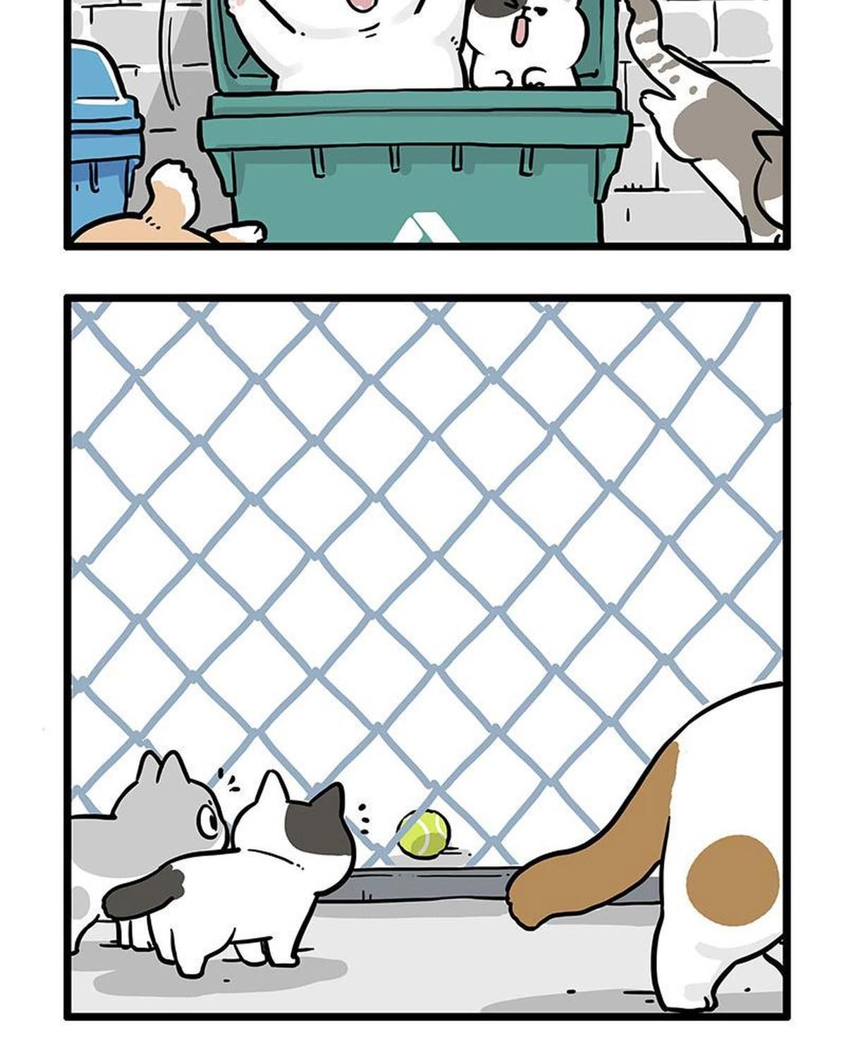 Hoàng Thượng và Ba Trát Hắc Chap 439 - Next Chap 440