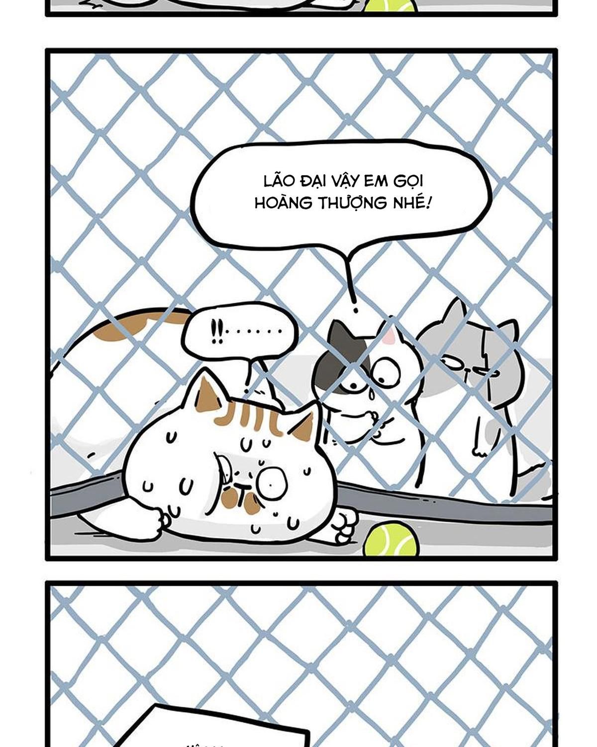 Hoàng Thượng và Ba Trát Hắc Chap 439 - Next Chap 440