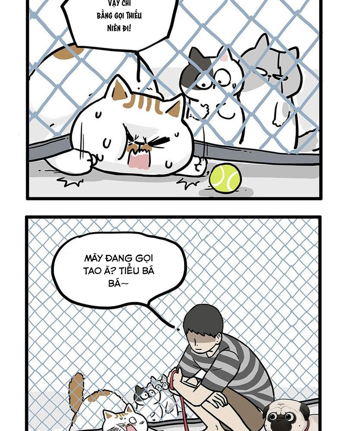 Hoàng Thượng và Ba Trát Hắc Chap 439 - Next Chap 440