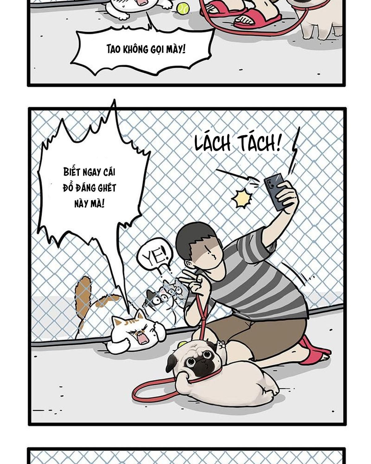 Hoàng Thượng và Ba Trát Hắc Chap 439 - Next Chap 440