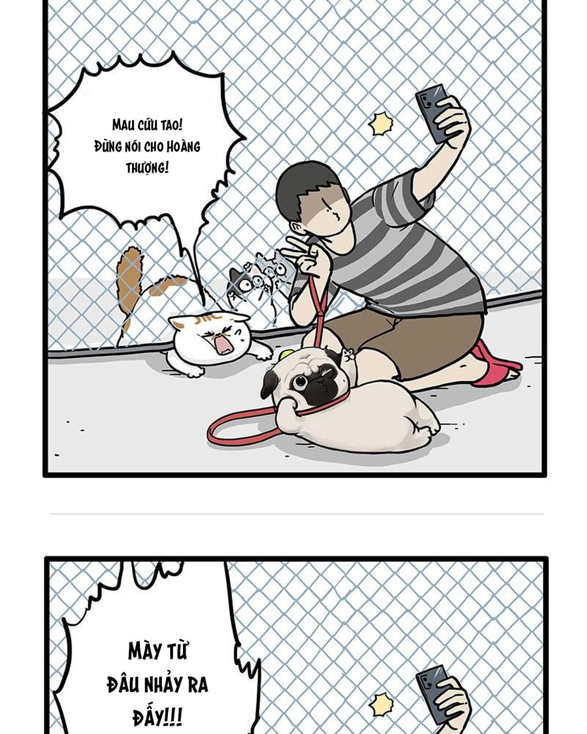 Hoàng Thượng và Ba Trát Hắc Chap 439 - Next Chap 440