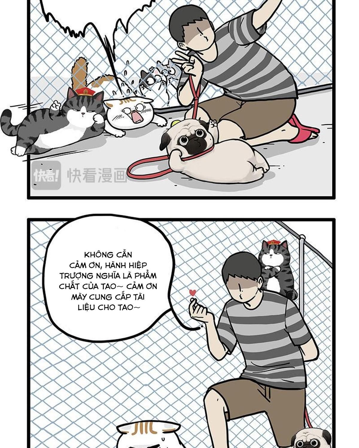 Hoàng Thượng và Ba Trát Hắc Chap 439 - Next Chap 440