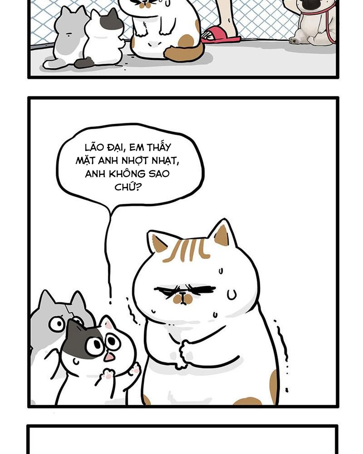 Hoàng Thượng và Ba Trát Hắc Chap 439 - Next Chap 440