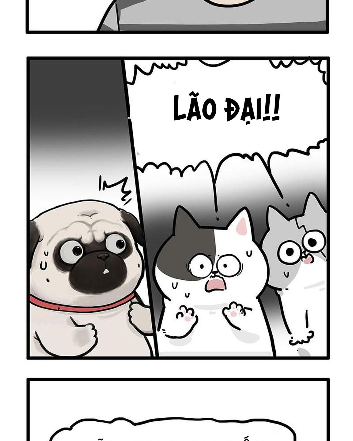 Hoàng Thượng và Ba Trát Hắc Chap 439 - Next Chap 440