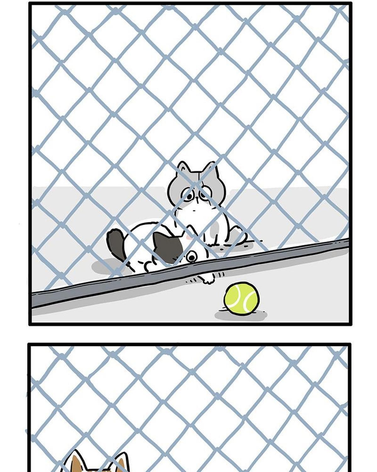 Hoàng Thượng và Ba Trát Hắc Chap 439 - Next Chap 440