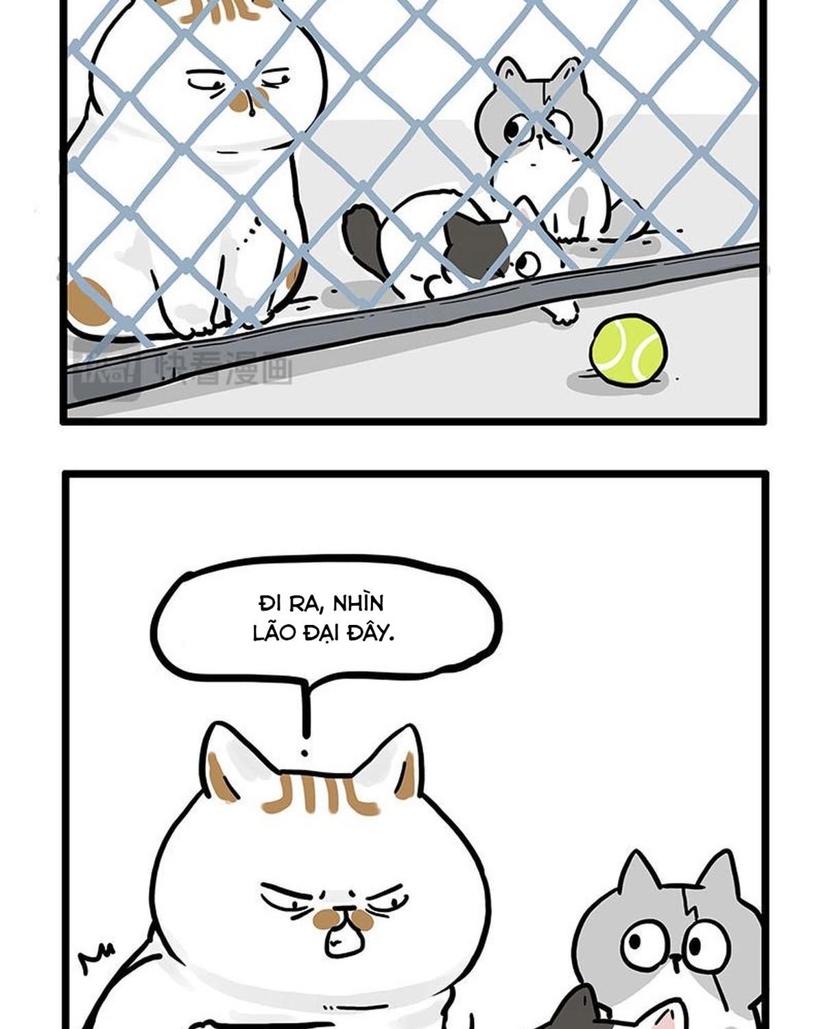 Hoàng Thượng và Ba Trát Hắc Chap 439 - Next Chap 440