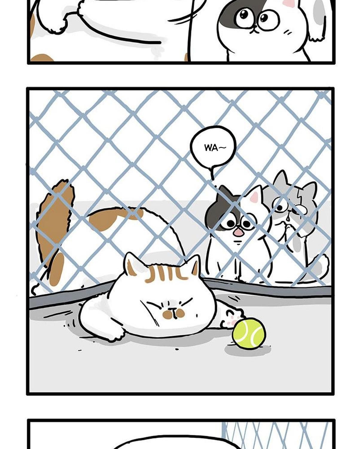 Hoàng Thượng và Ba Trát Hắc Chap 439 - Next Chap 440