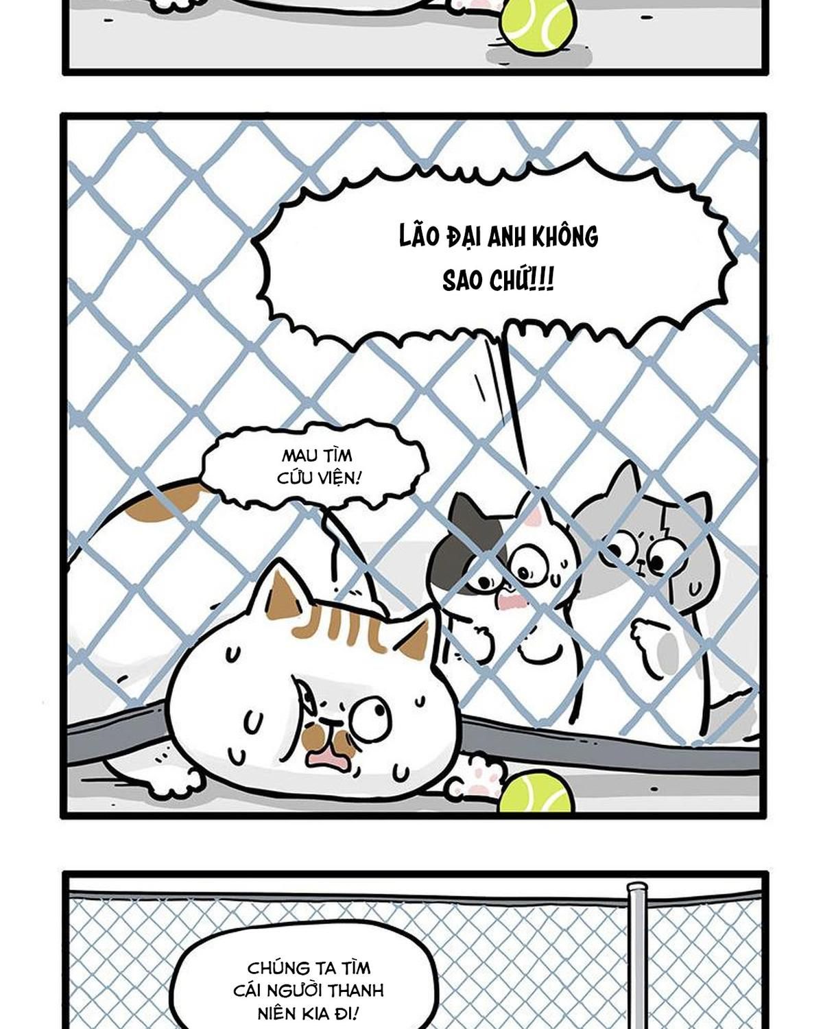 Hoàng Thượng và Ba Trát Hắc Chap 439 - Next Chap 440