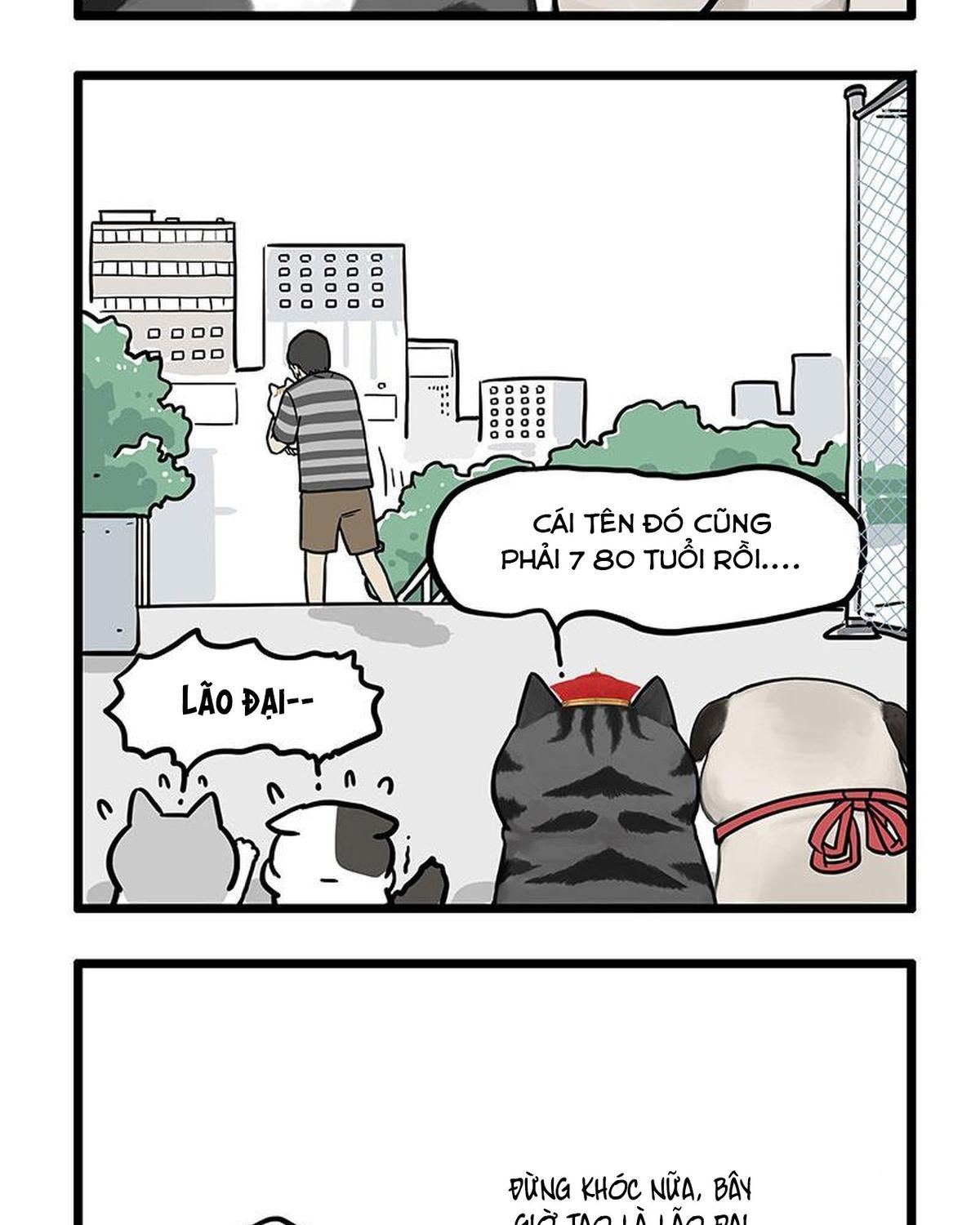 Hoàng Thượng và Ba Trát Hắc Chap 440 - Next Chap 441