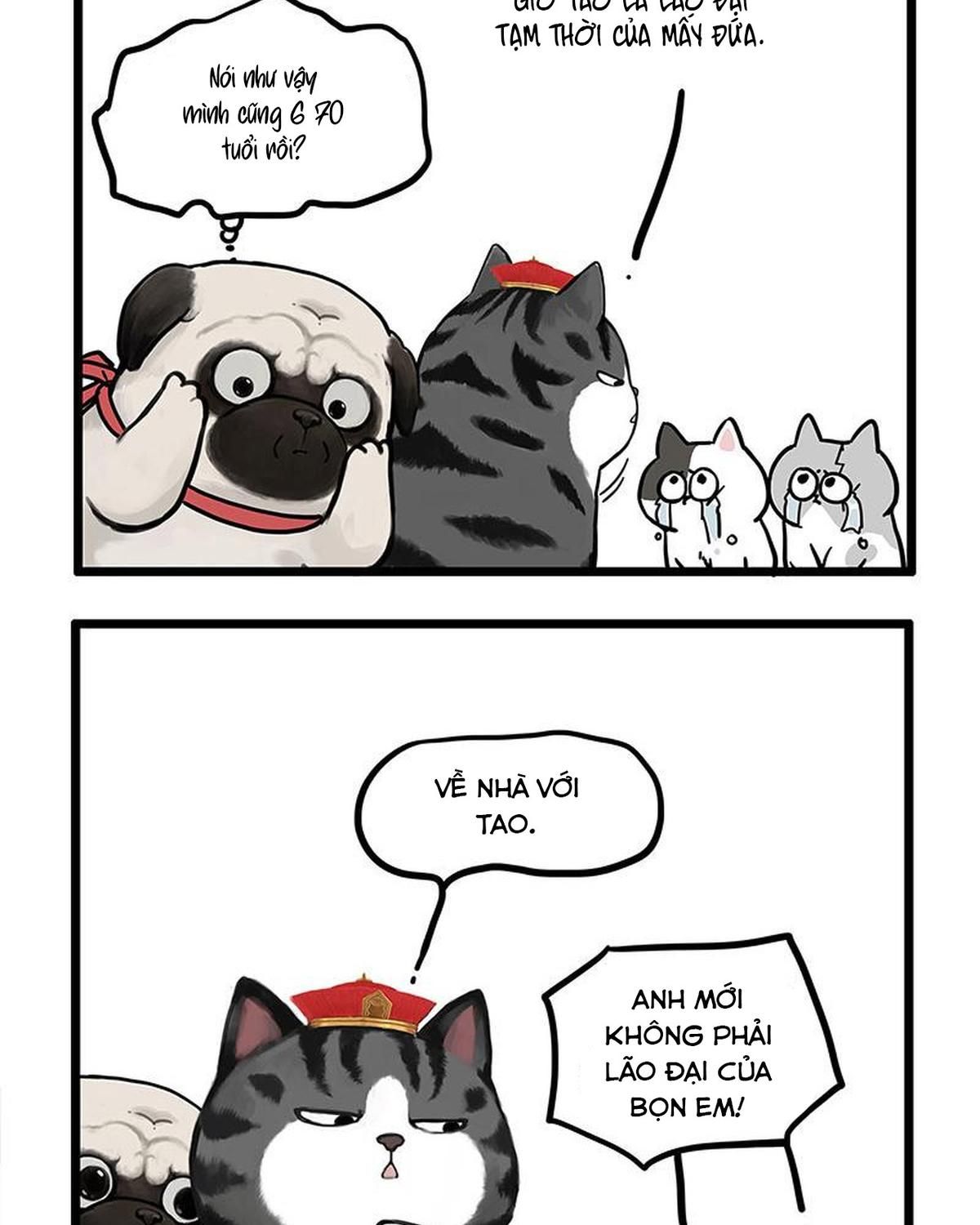 Hoàng Thượng và Ba Trát Hắc Chap 440 - Next Chap 441