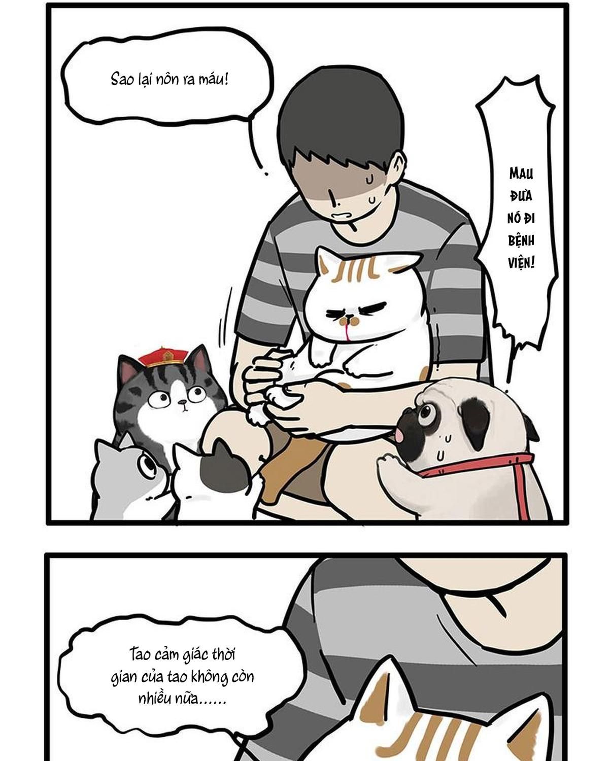 Hoàng Thượng và Ba Trát Hắc Chap 440 - Next Chap 441