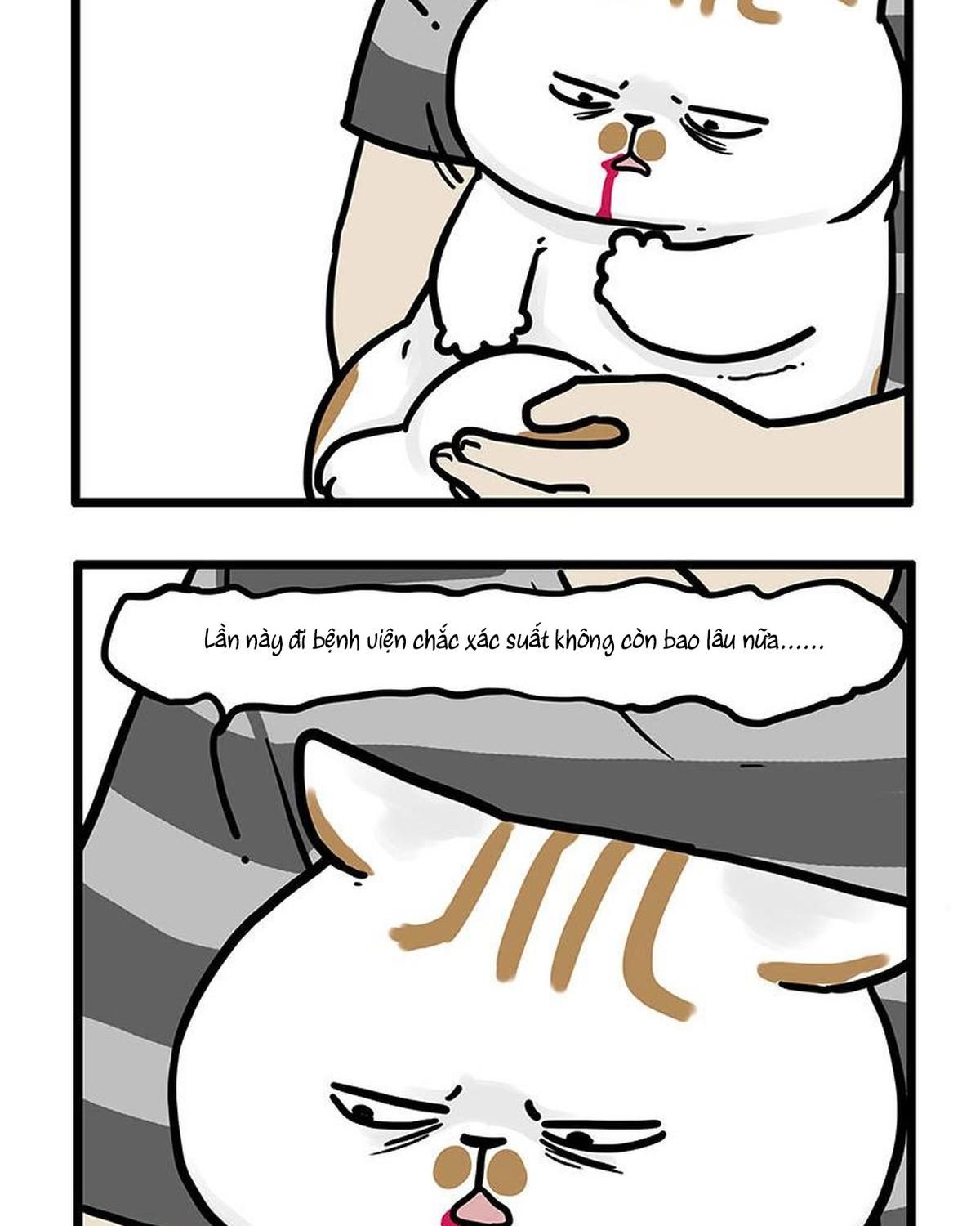 Hoàng Thượng và Ba Trát Hắc Chap 440 - Next Chap 441