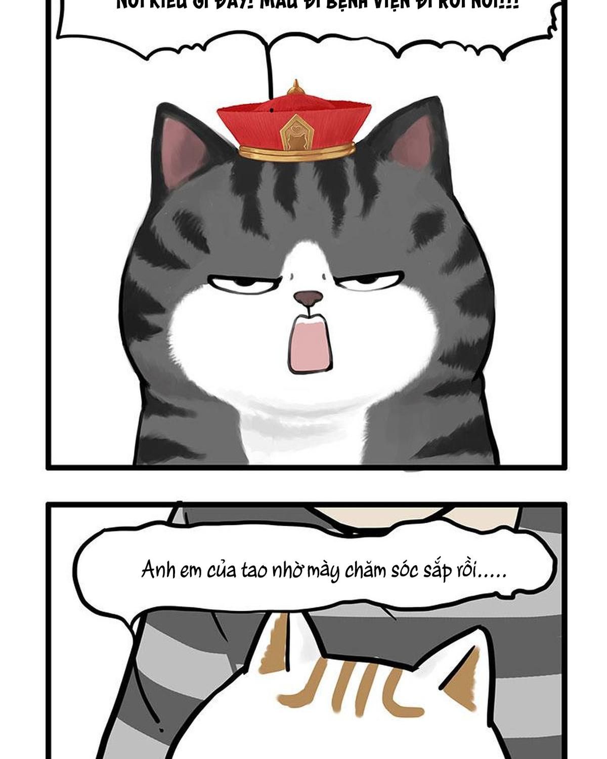 Hoàng Thượng và Ba Trát Hắc Chap 440 - Next Chap 441