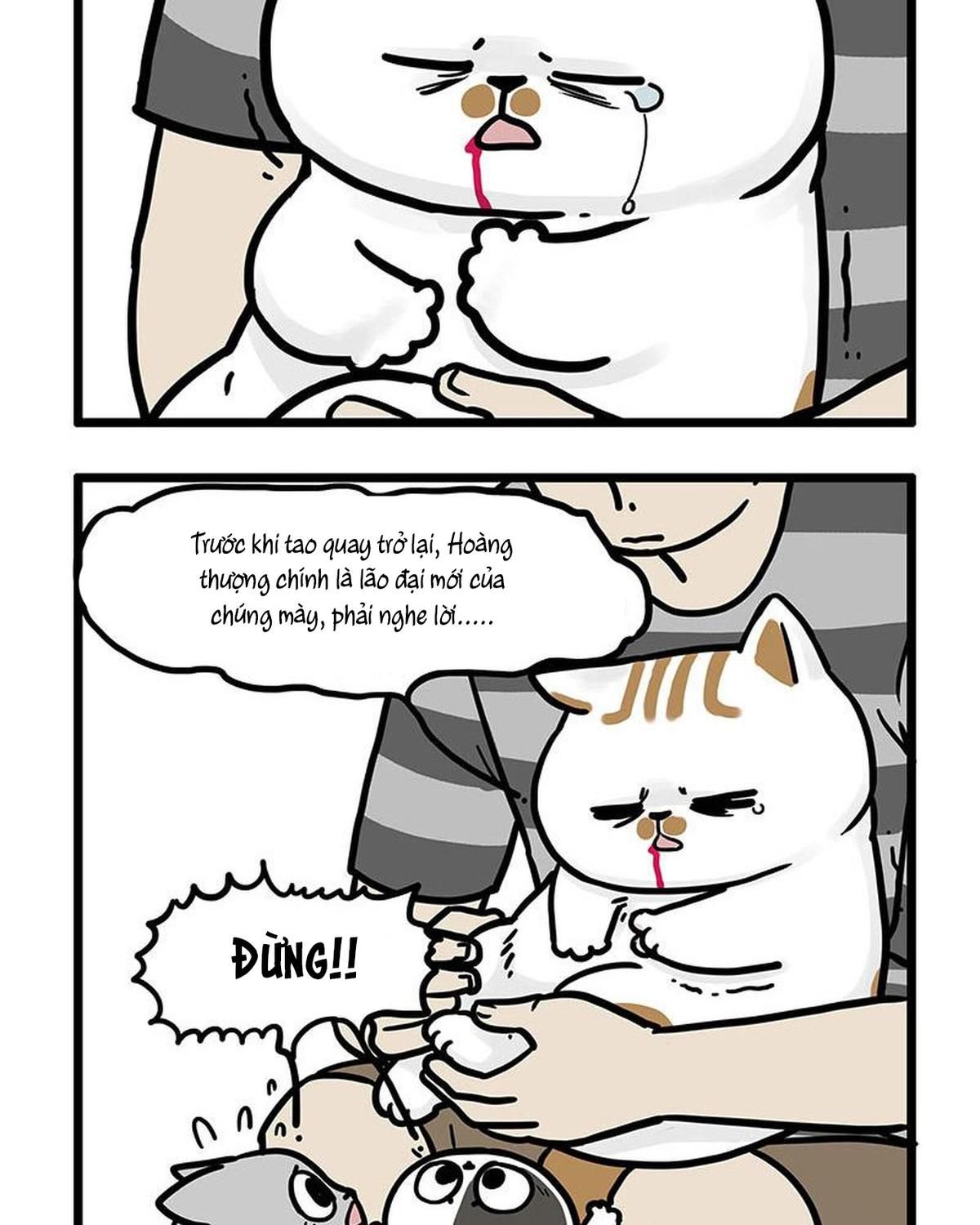 Hoàng Thượng và Ba Trát Hắc Chap 440 - Next Chap 441