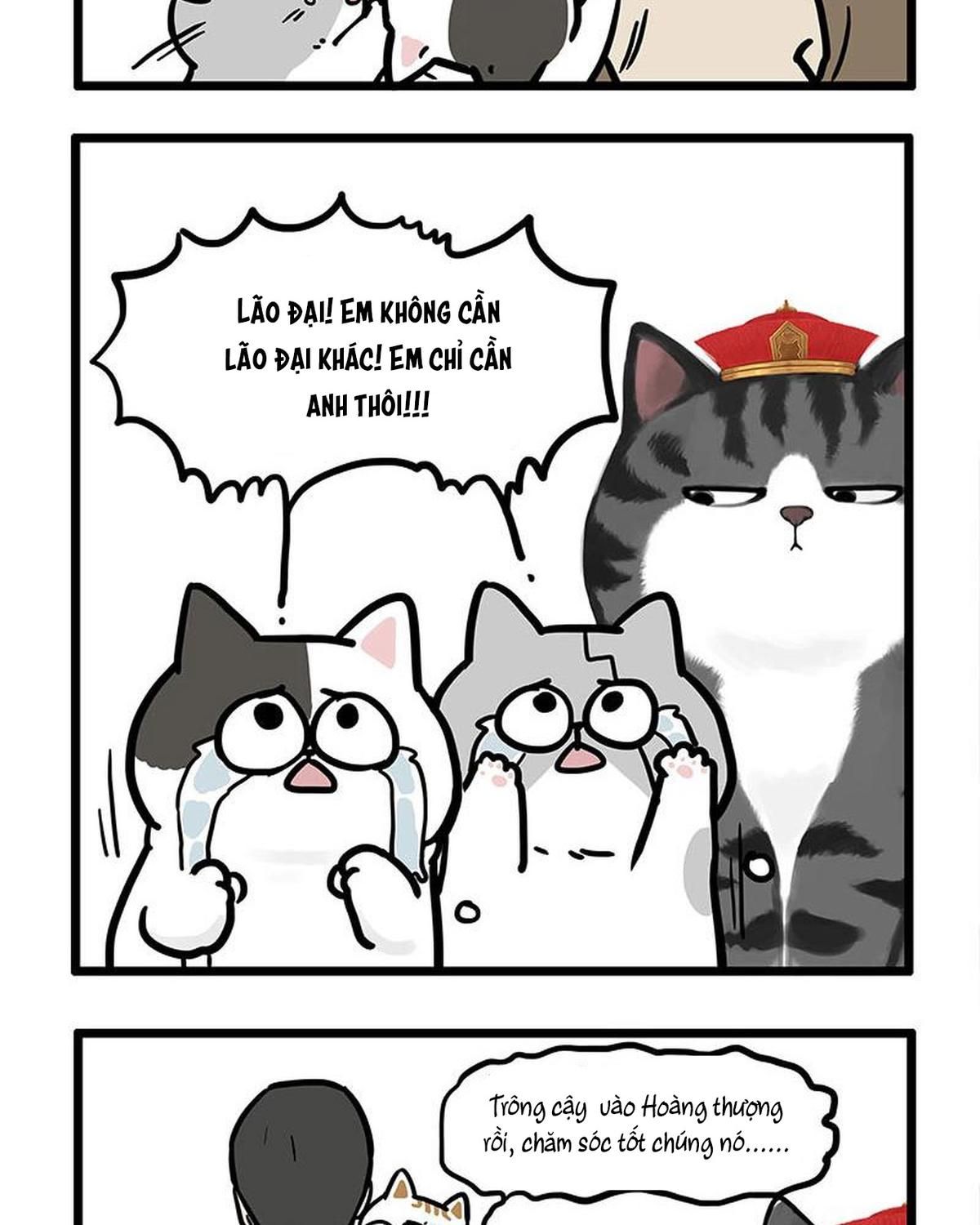 Hoàng Thượng và Ba Trát Hắc Chap 440 - Next Chap 441