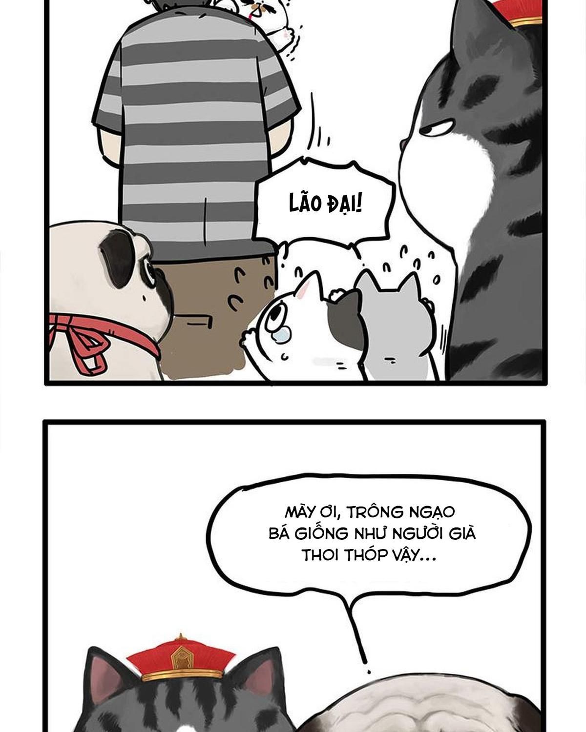 Hoàng Thượng và Ba Trát Hắc Chap 440 - Next Chap 441