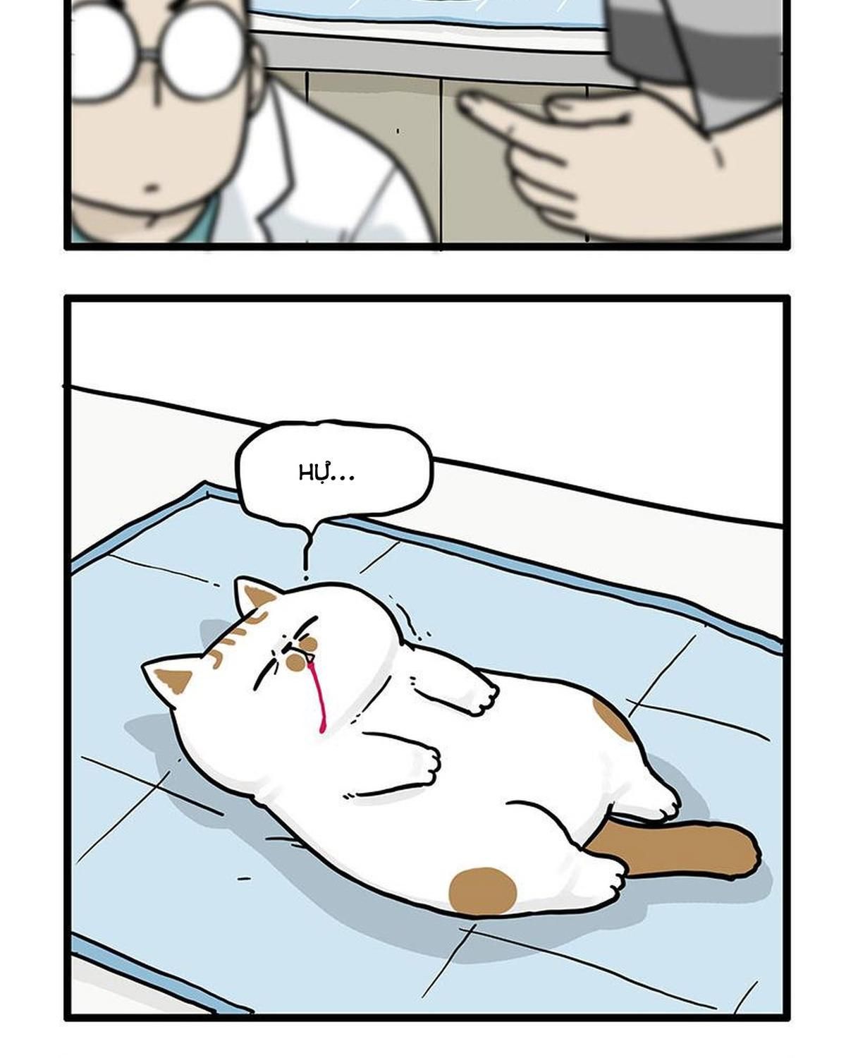 Hoàng Thượng và Ba Trát Hắc Chap 441 - Next Chap 442