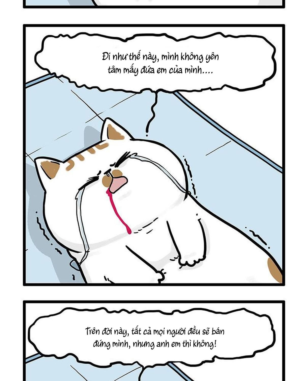 Hoàng Thượng và Ba Trát Hắc Chap 441 - Next Chap 442