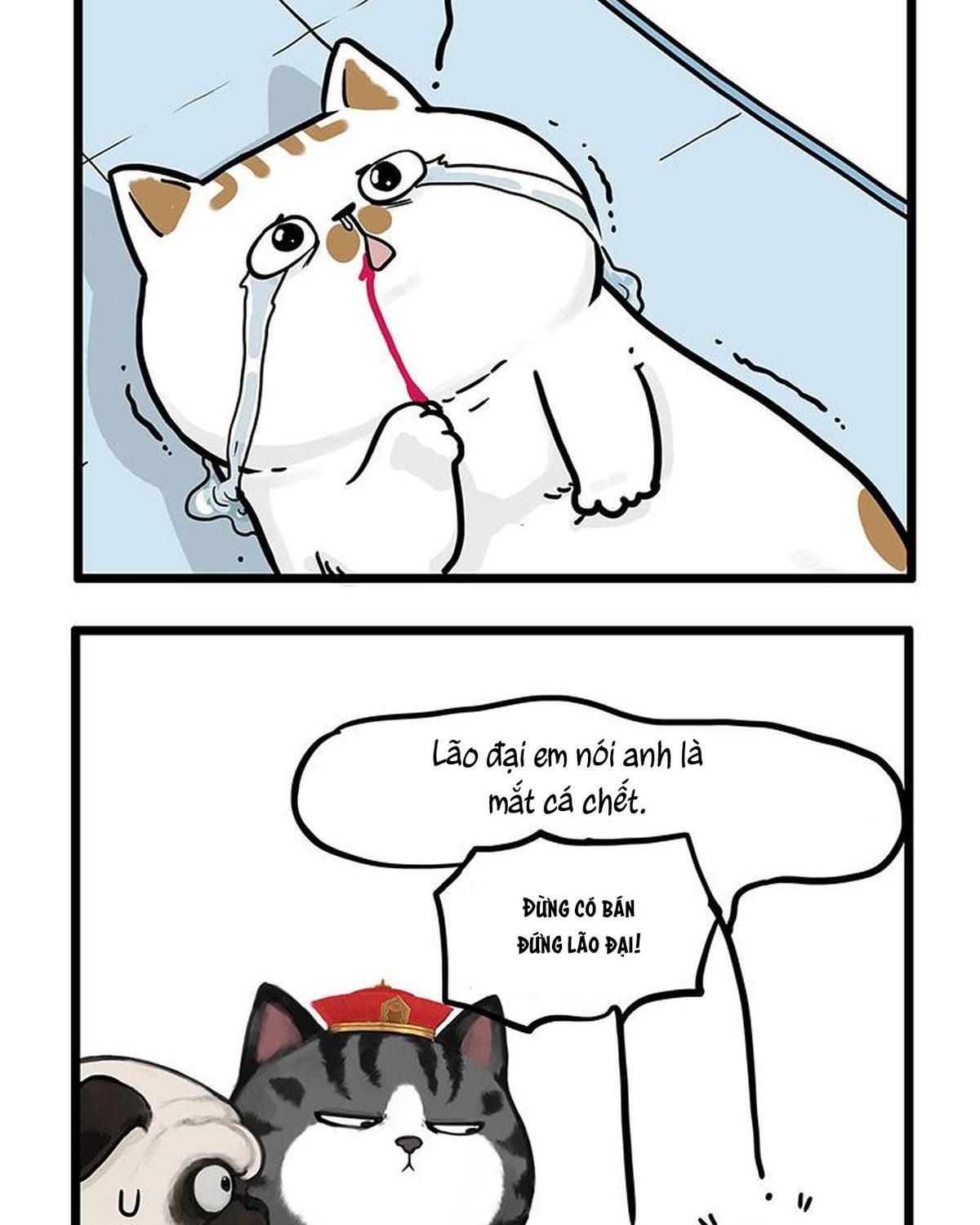 Hoàng Thượng và Ba Trát Hắc Chap 441 - Next Chap 442