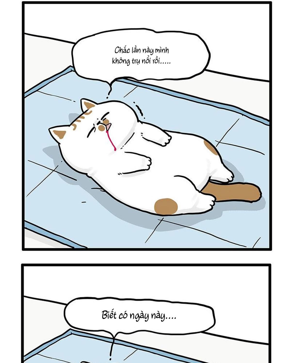 Hoàng Thượng và Ba Trát Hắc Chap 441 - Next Chap 442