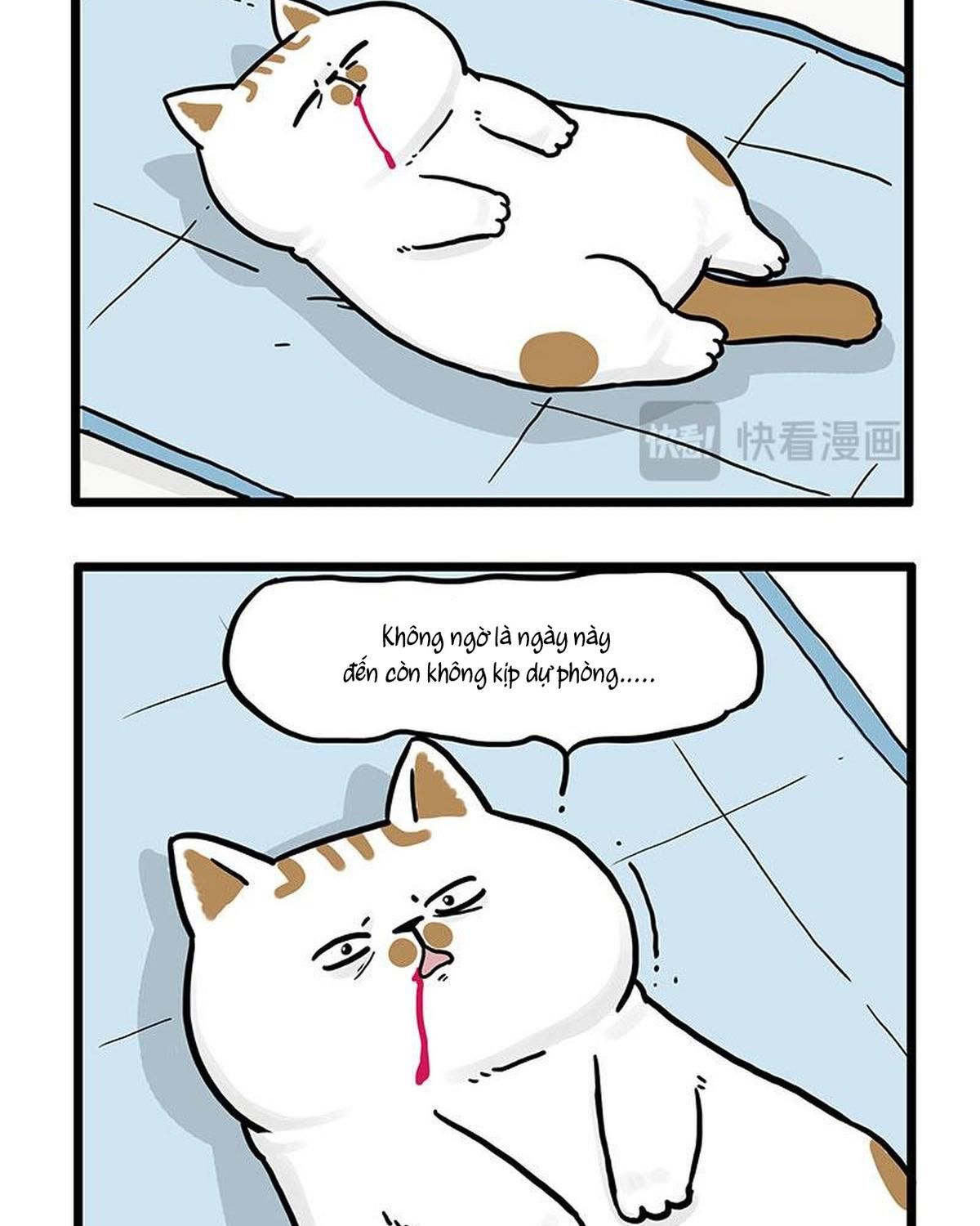 Hoàng Thượng và Ba Trát Hắc Chap 441 - Next Chap 442