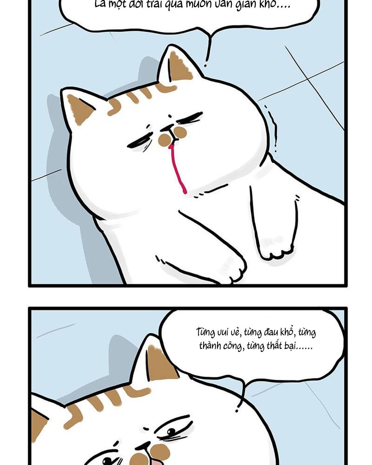 Hoàng Thượng và Ba Trát Hắc Chap 441 - Next Chap 442