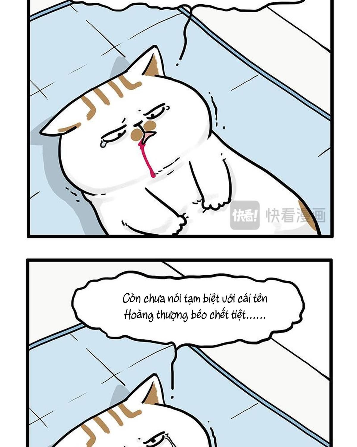 Hoàng Thượng và Ba Trát Hắc Chap 441 - Next Chap 442