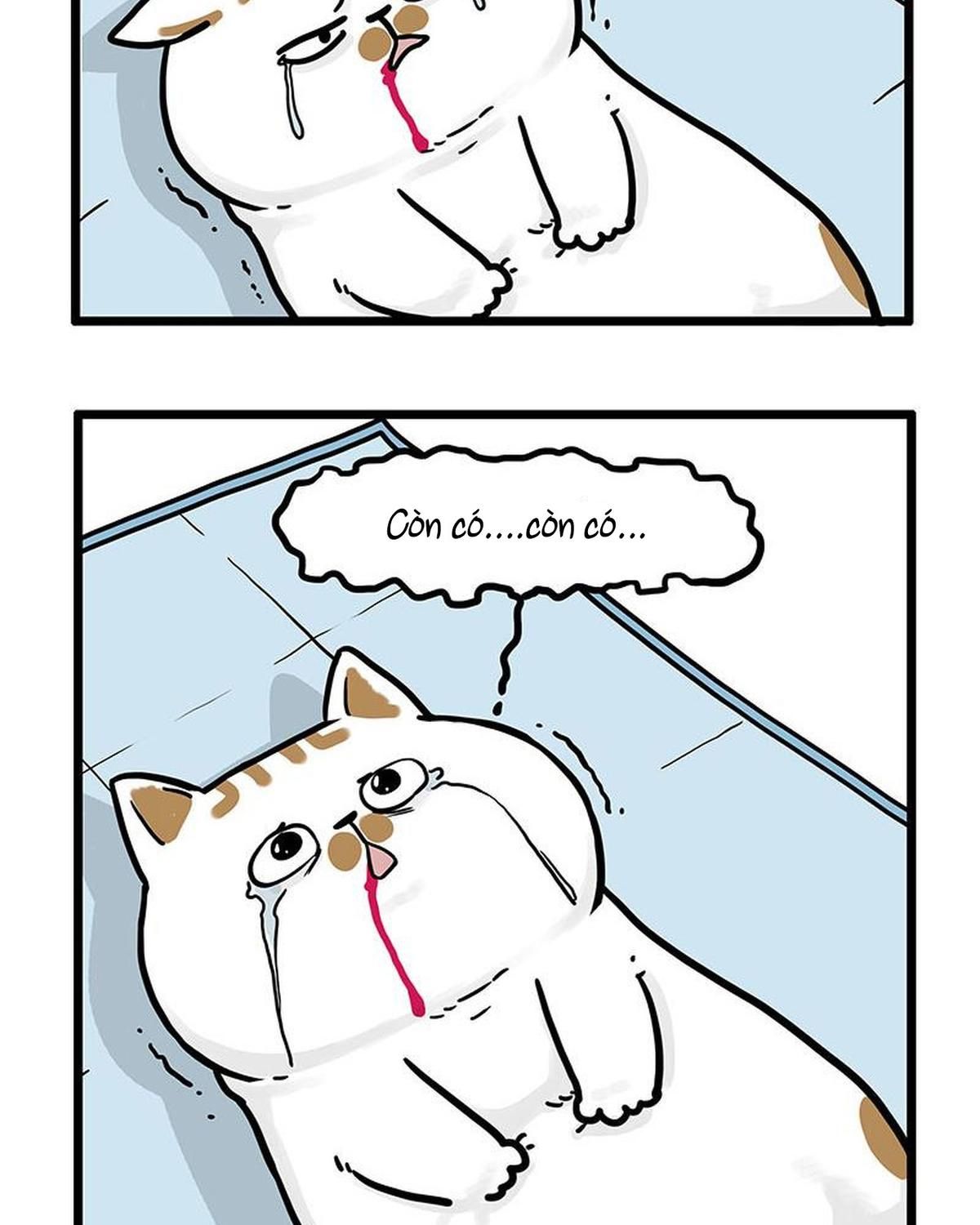 Hoàng Thượng và Ba Trát Hắc Chap 441 - Next Chap 442