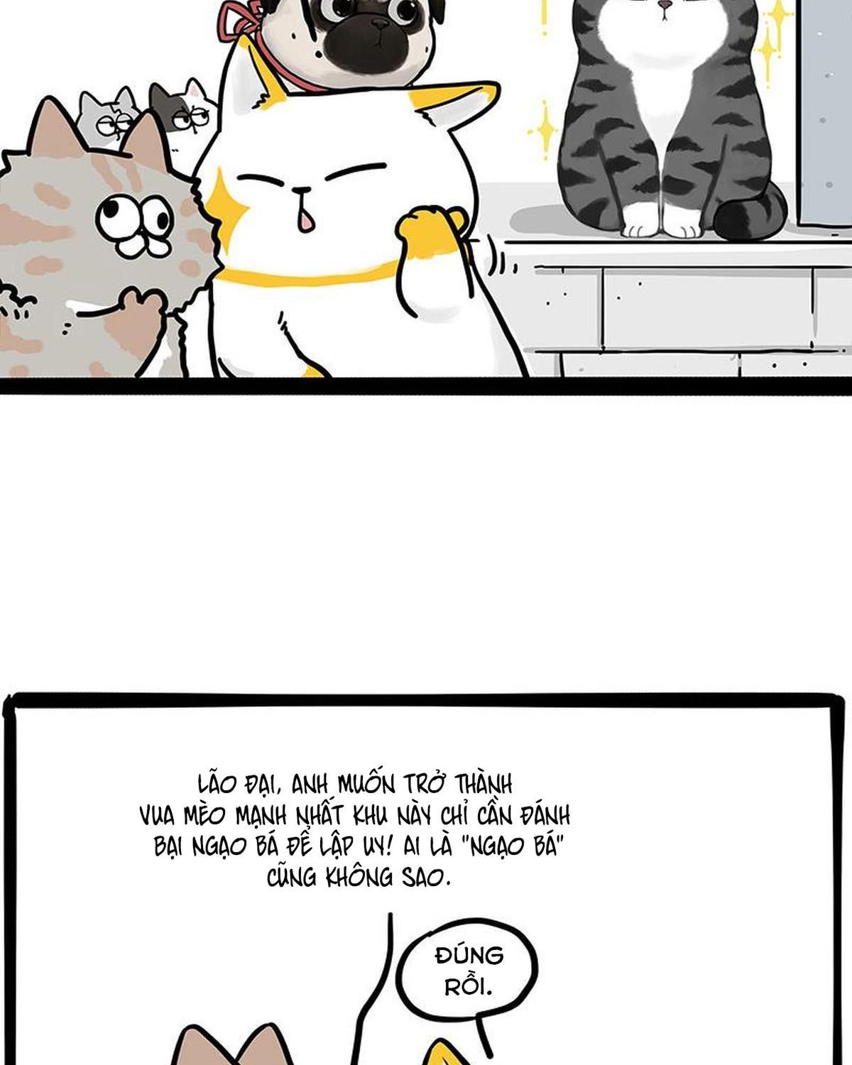 Hoàng Thượng và Ba Trát Hắc Chap 442 - Next Chap 443