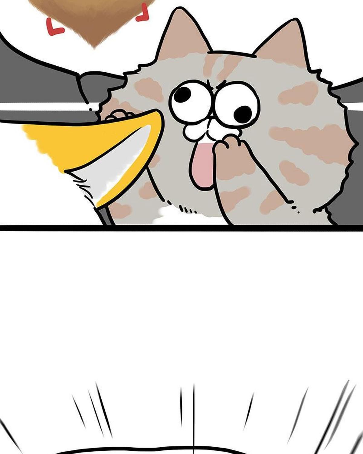 Hoàng Thượng và Ba Trát Hắc Chap 442 - Next Chap 443