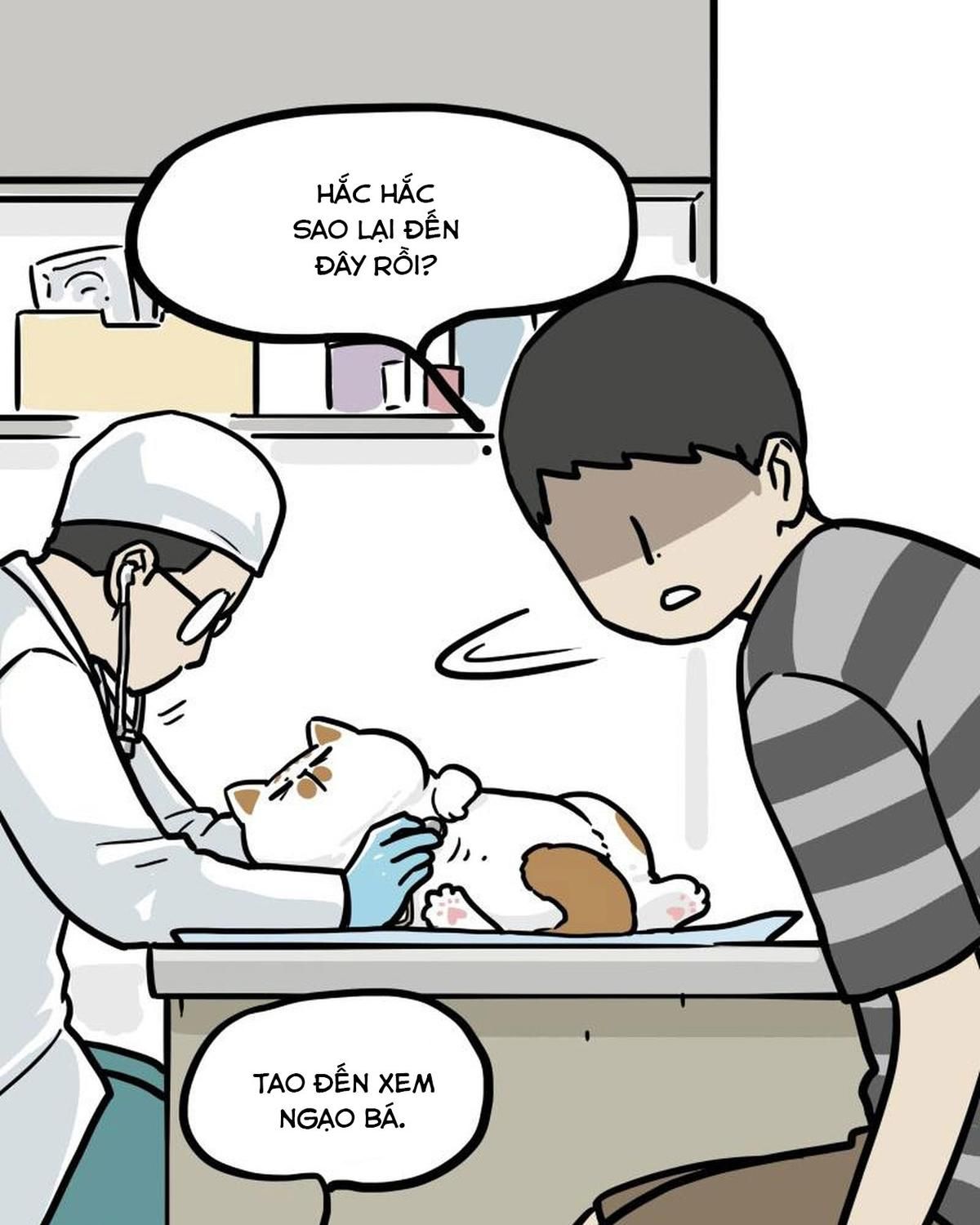 Hoàng Thượng và Ba Trát Hắc Chap 443 - Next Chap 444