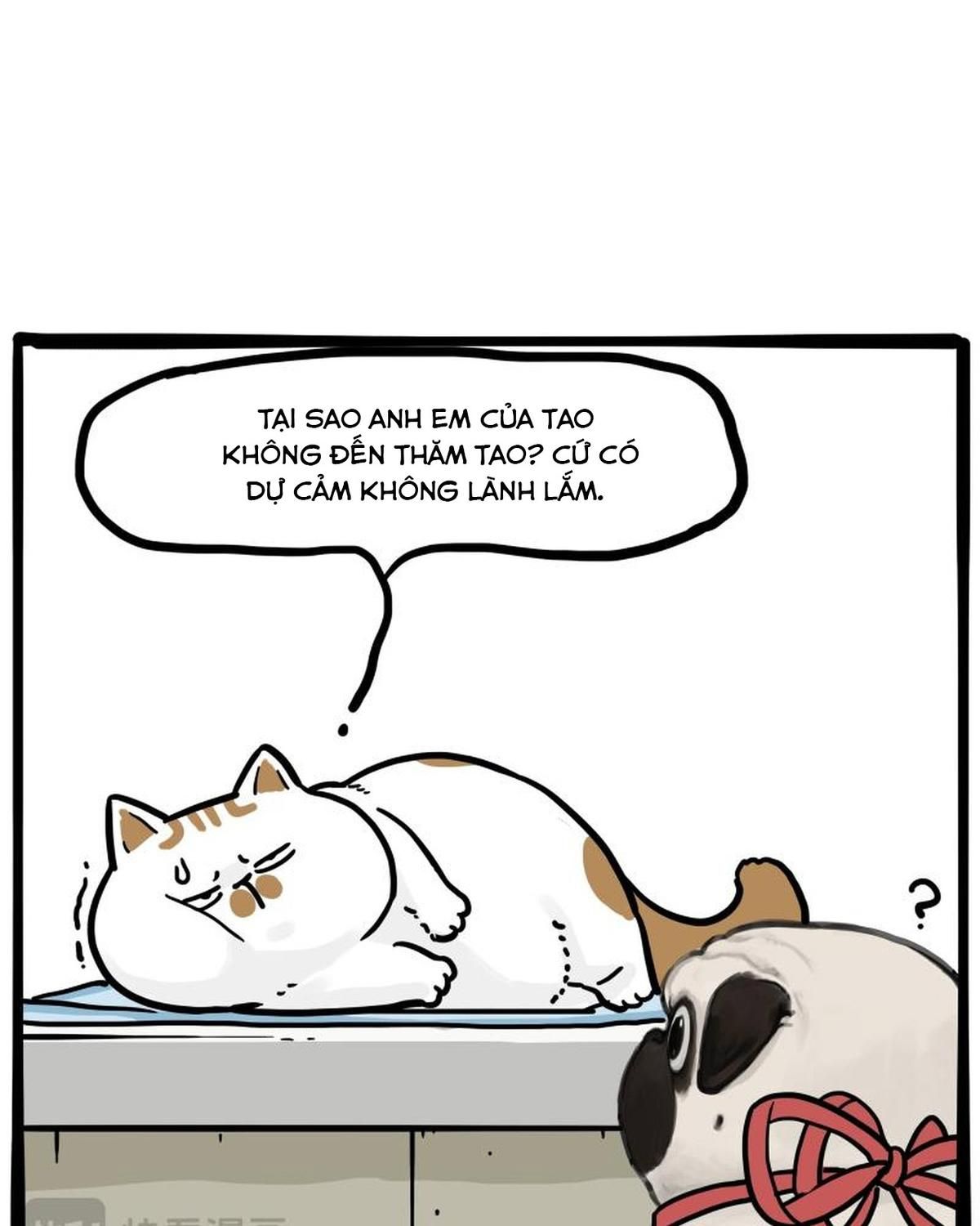 Hoàng Thượng và Ba Trát Hắc Chap 443 - Next Chap 444