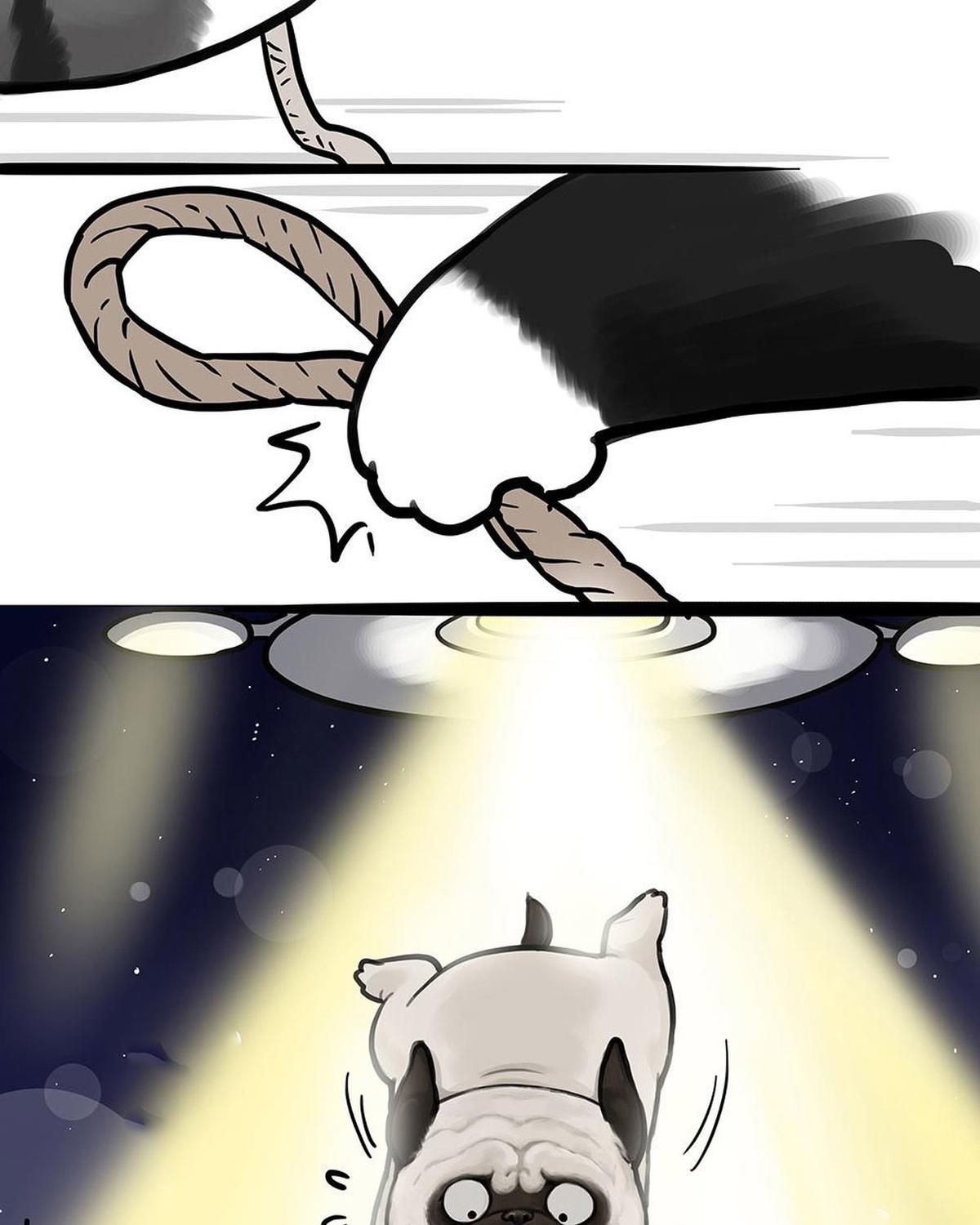 Hoàng Thượng và Ba Trát Hắc Chap 444 - Next Chap 445