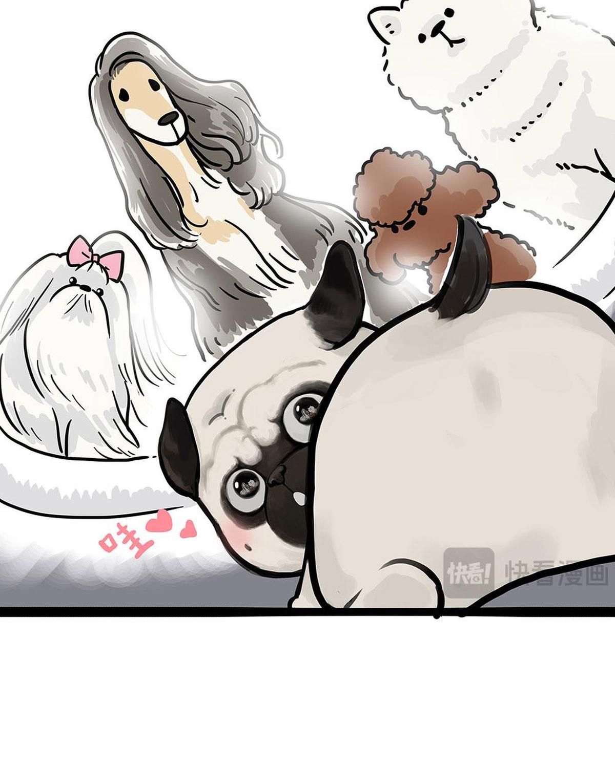 Hoàng Thượng và Ba Trát Hắc Chap 444 - Next Chap 445