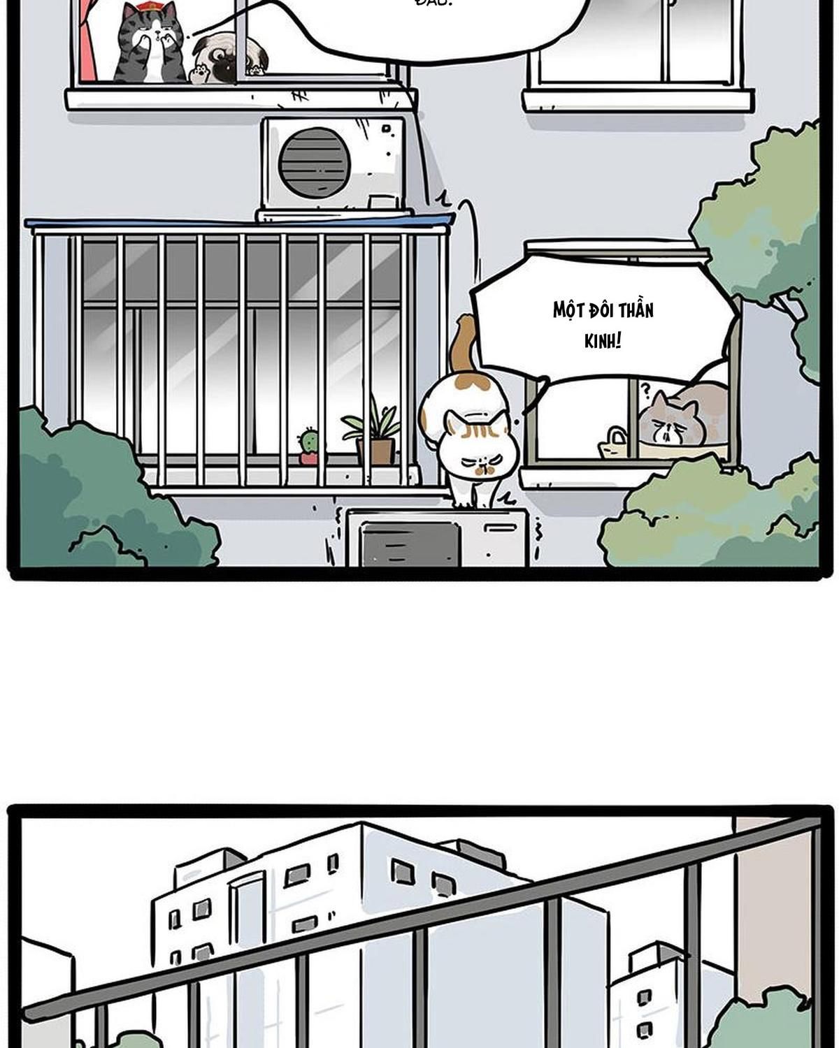 Hoàng Thượng và Ba Trát Hắc Chap 445 - Next Chap 446