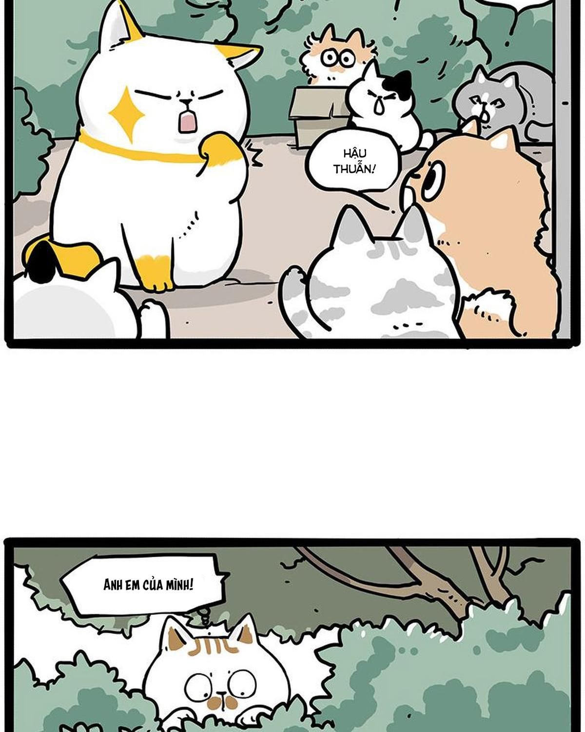 Hoàng Thượng và Ba Trát Hắc Chap 445 - Next Chap 446