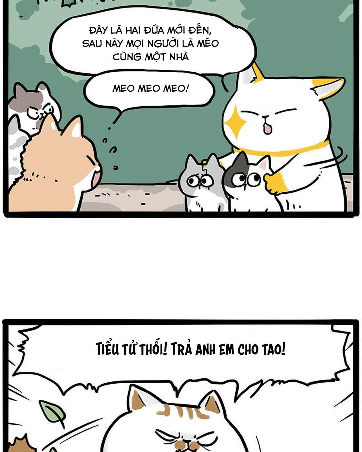 Hoàng Thượng và Ba Trát Hắc Chap 445 - Next Chap 446