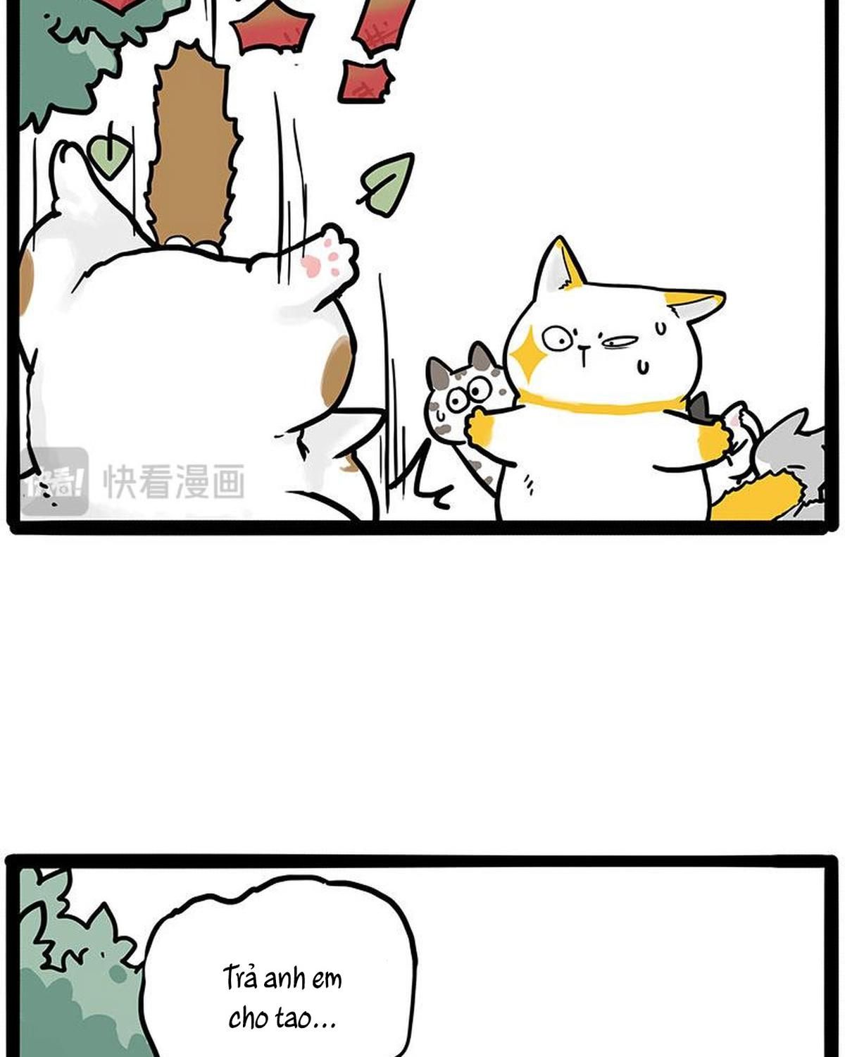 Hoàng Thượng và Ba Trát Hắc Chap 445 - Next Chap 446