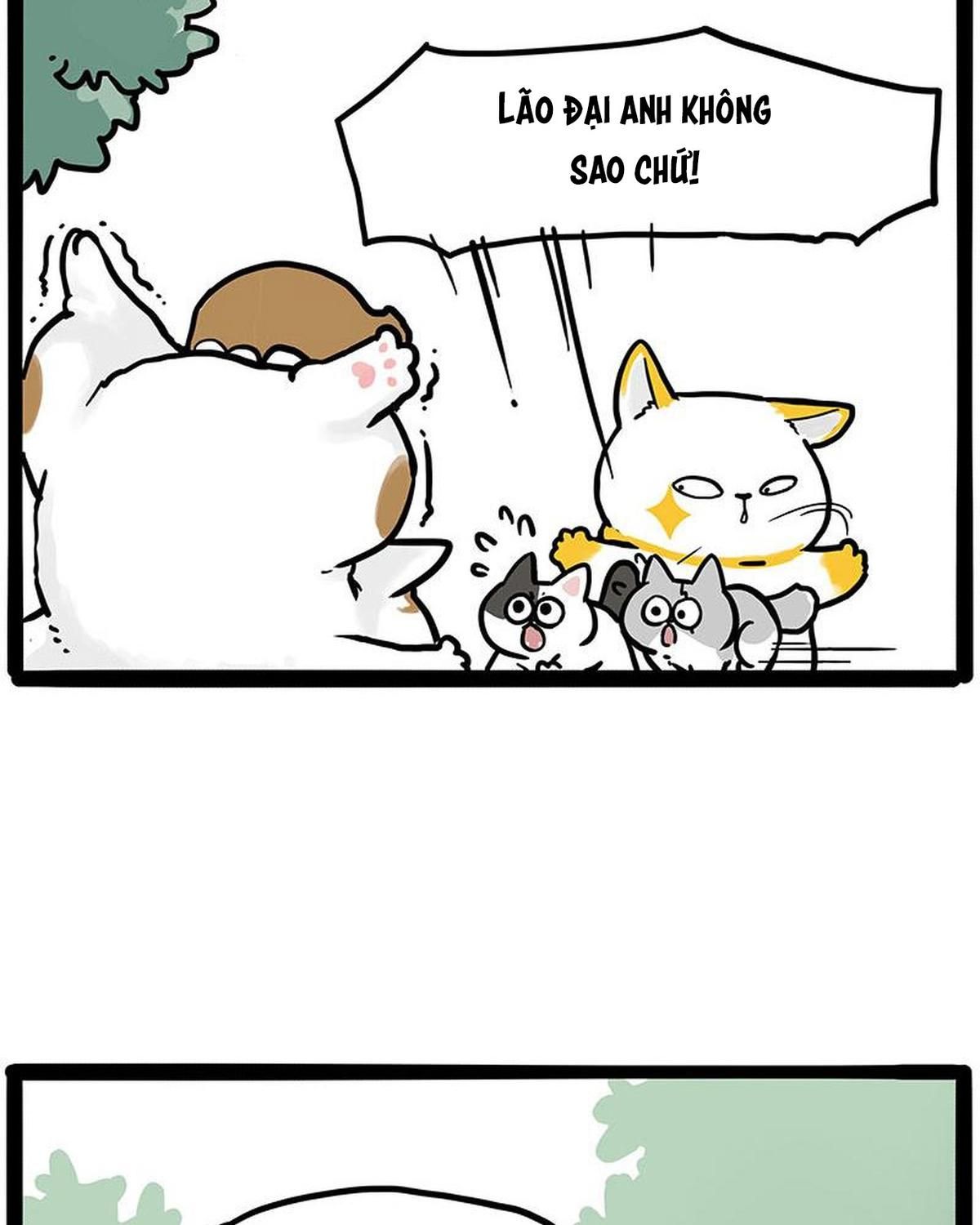 Hoàng Thượng và Ba Trát Hắc Chap 445 - Next Chap 446