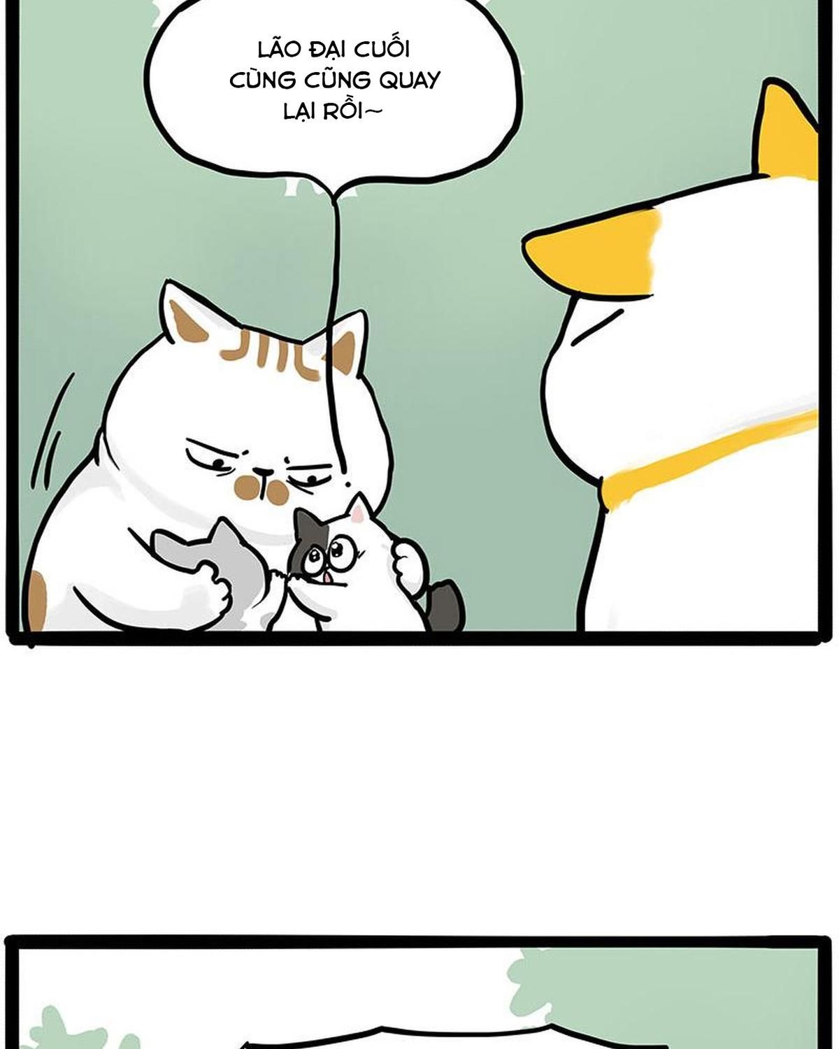 Hoàng Thượng và Ba Trát Hắc Chap 445 - Next Chap 446