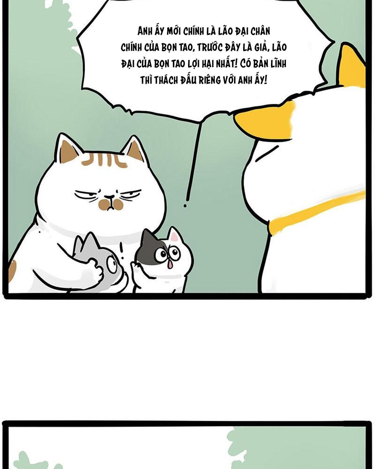 Hoàng Thượng và Ba Trát Hắc Chap 445 - Next Chap 446