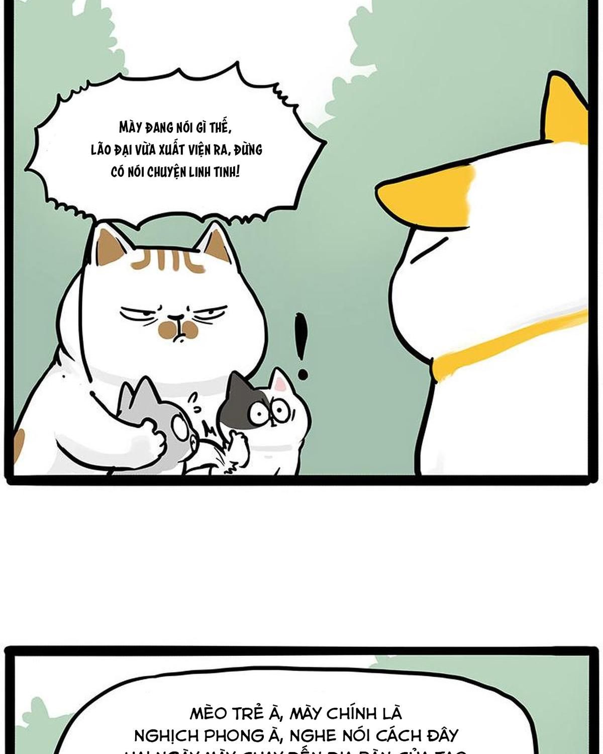 Hoàng Thượng và Ba Trát Hắc Chap 445 - Next Chap 446