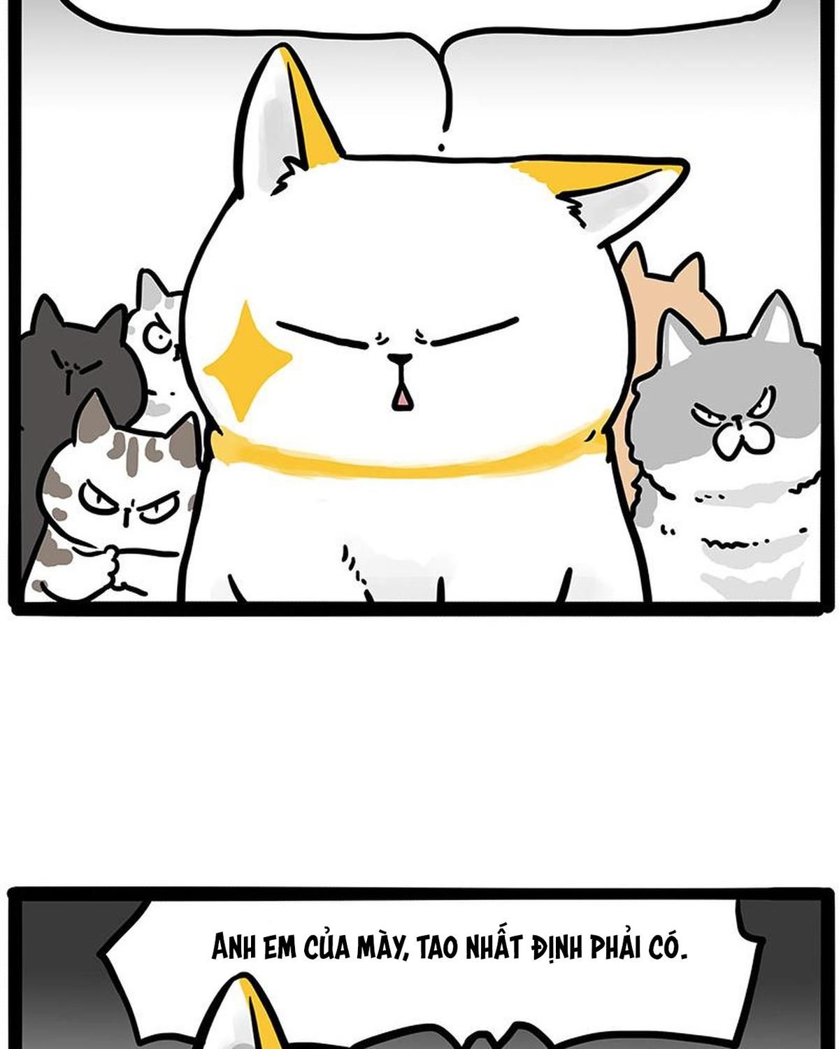 Hoàng Thượng và Ba Trát Hắc Chap 445 - Next Chap 446