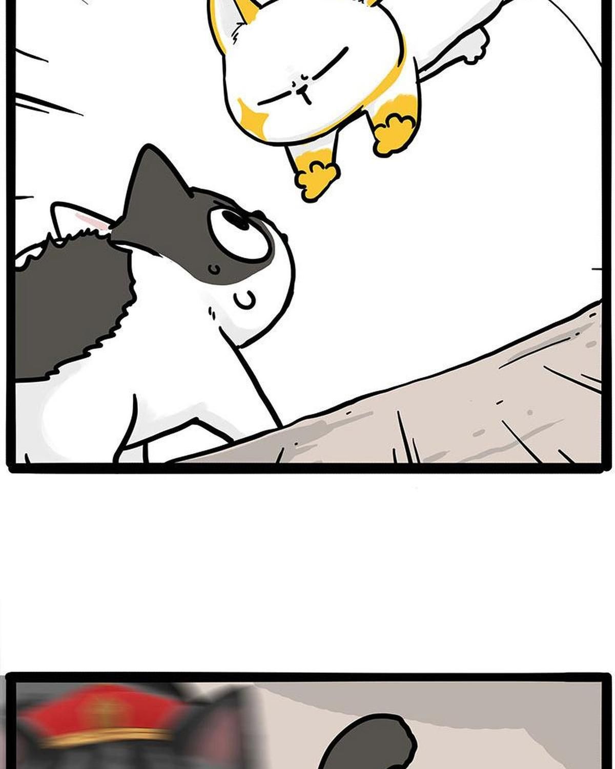 Hoàng Thượng và Ba Trát Hắc Chap 446 - Next Chap 447