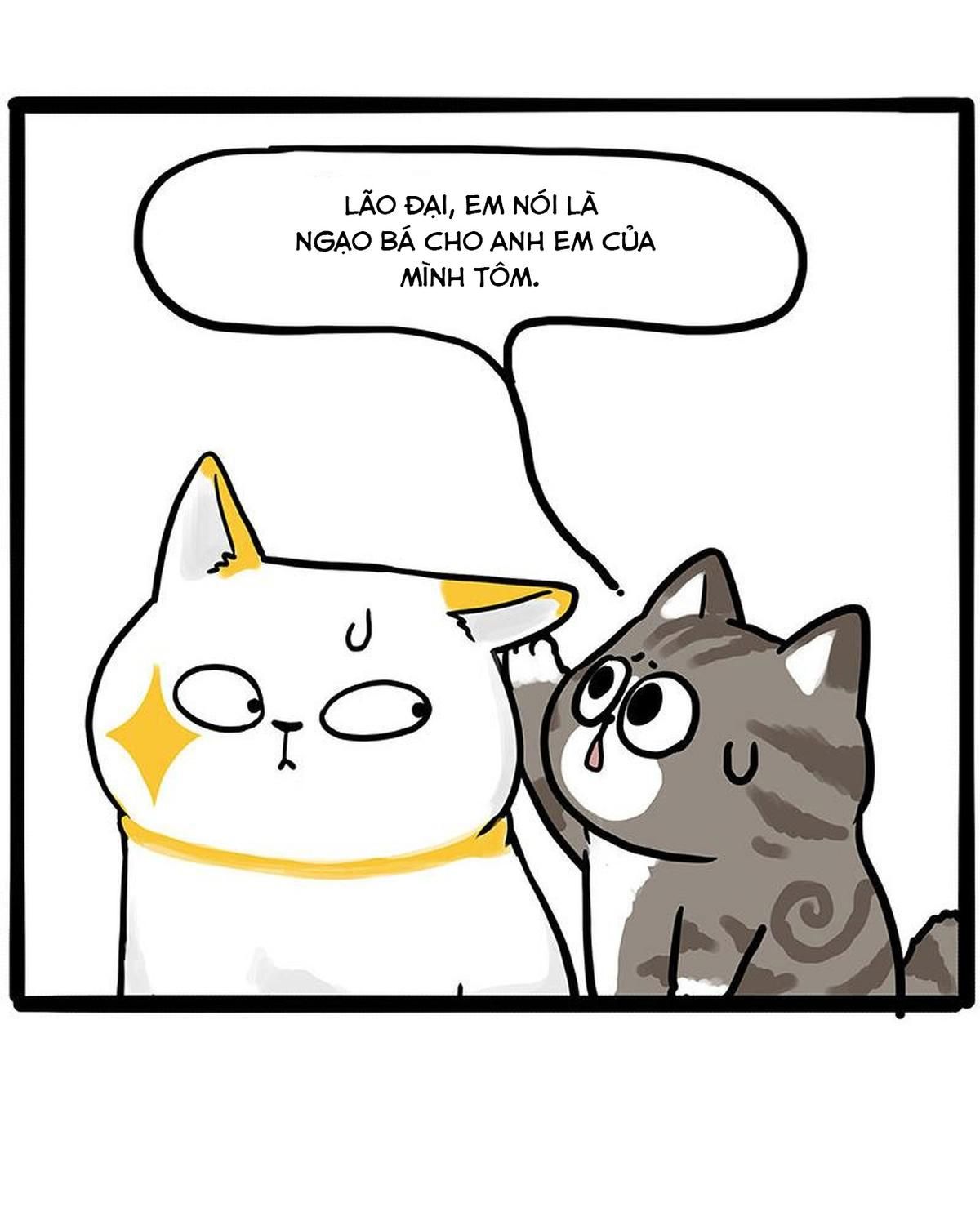 Hoàng Thượng và Ba Trát Hắc Chap 446 - Next Chap 447