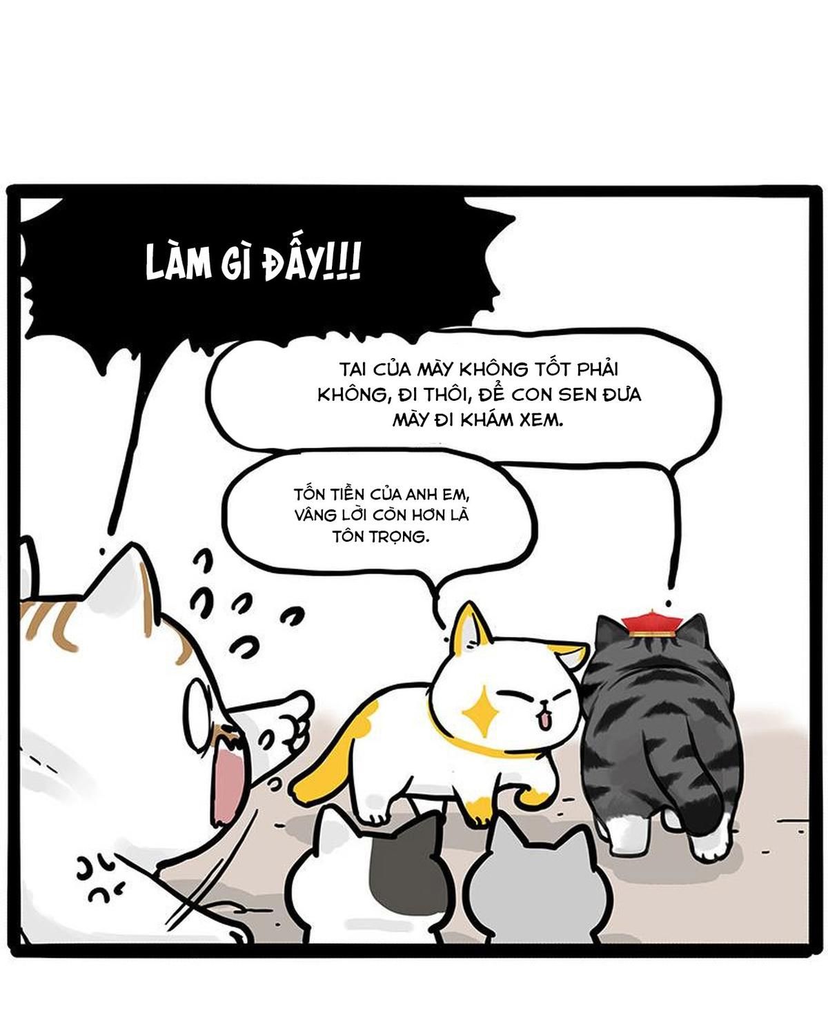 Hoàng Thượng và Ba Trát Hắc Chap 446 - Next Chap 447